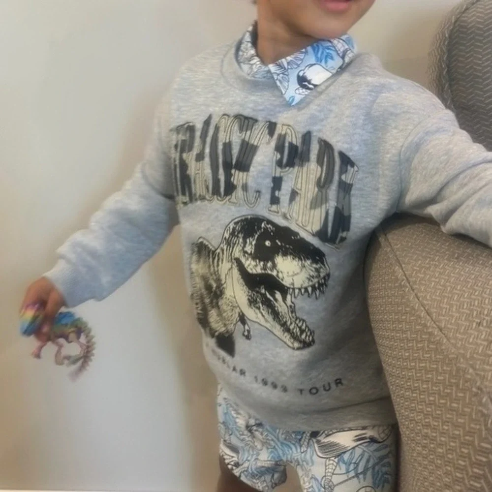 Jurassic Park Kids Gray‎ T-Rex 1993 Tour Graphic Sweatshirt Size L 10/12